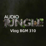 【音频素材】Audiojungle音频之Vlog BGM310首